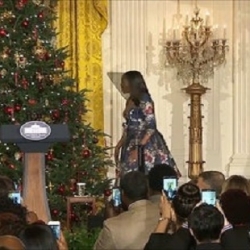 White House  2016 Holiday Decorations