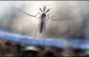 First case of baby born with Zika in NYC