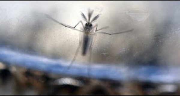 First case of baby born with Zika in NYC