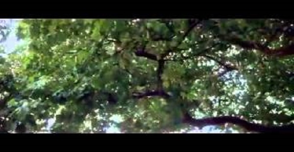 The Omen (1976) Full Movie